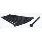 Zylinderkopfschraubensatz 81006700