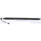 GASFEDER, KOFFER-/LADERAUM | 871029313