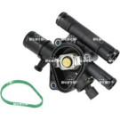 NRF Thermostat, Kühlmittel 725300