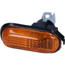 Blinkleuchte | 218-1407N-AE