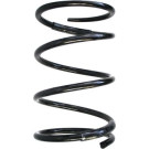 SPIDAN Fahrwerksfeder | 55303
