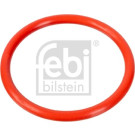 Dichtung, Kühlmittelflansch | 100078