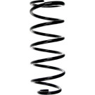 SPIDAN Fahrwerksfeder | 49520