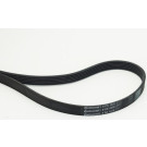CONTINENTAL CTAM Keilrippenriemen 6PK1670