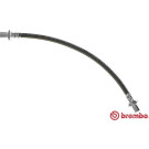 BREMBO Bremsschlauch | T 83 059