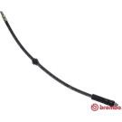 BREMBO Bremsschlauch | T 61 084