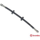 BREMBO Bremsschlauch | T 24 020