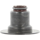 49472897 Dichtring, Ventilschaft