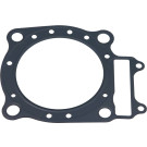 Motorzylinderkopfdichtung. Honda Cre F 450 R 2005-2006 | 666B03189