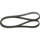 1 987 948 497 Keilrippenriemen