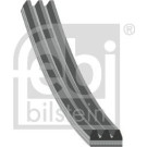 FEBI BILSTEIN Rillenriemen | 28759