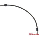 BREMBO Bremsschlauch | T 50 011