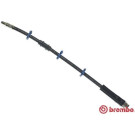 BREMBO Bremsschlauch | T 61 009
