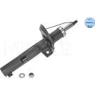 Meyle Stoßdämpfer VA | SKODA Octavia,VW Golf V 03 | 1266230050