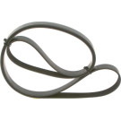 Keilrippenriemen | FORD,PORSCHE,LEXUS,TOYOTA | 1987946005