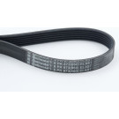 Keilrippenriemen 6Pk873Elast | 6PK873 ELAST