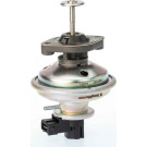 BorgWarner (Wahler) AGR-Ventil 710970D/1