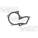 PA 990 Wasserpumpe | FORD Fiesta V,Focus 1,4 | PA990