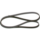 1 987 946 295 Keilrippenriemen