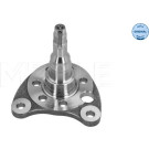 12 325 009 Achsschenkel HA li | SEAT,VW 83-01 | 1005010012