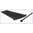 Zylinderkopfschraubensatz 81018000