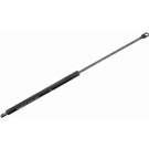 VAICO Gasfeder, Koffer-/Laderaum V20-1000