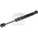Gasfeder, Heckscheibe | 29268