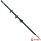 BREMBO Bremsschlauch | T 23 034