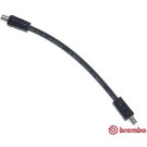 BREMBO Bremsschlauch | T 85 040