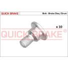 Fixierschraube Bremsscheibe | M6x1 | 11660