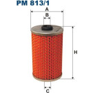 FILTRON Kraftstofffilter | PM 813/1