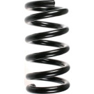 SPIDAN Fahrwerksfeder | 55358