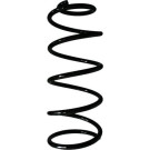 SPIDAN Fahrwerksfeder | 49508