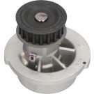 PA 442 Wasserpumpe | OPEL Kadett,Corsa,Astra F,G | DW-1002