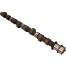 Nockenwelle | 50006329