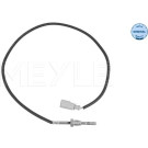 SENSOR, ABGASTEMPERATUR | 1148000270