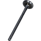 Auslassventil Fiat 1.9 Jtd 03 | PFIA082-A-0-N