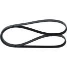 1 987 948 480 Keilrippenriemen