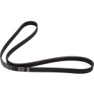 1 987 948 494 Keilrippenriemen