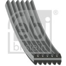 FEBI BILSTEIN Rillenriemen 34459