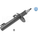 Stoßdämpfer | 1266230004