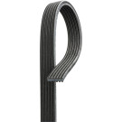 Micro V Riemen LAND ROVER Discovery 11 Micro-V® 6DPK2184