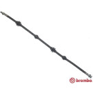 BREMBO Bremsschlauch | T 23 037