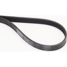 PASEK WIELOKLINOWY 6PK1173