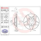BREMBO Bremsscheibe | 09.8303.75