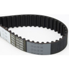 Zahnriemen | CT1184