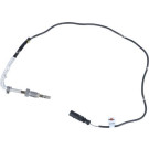 Sensor, Abgastemperatur | 707044