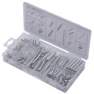 S8047 SW-Stahl Federnsortiment 200 tlg.