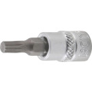 BGS Bit-Einsatz | Antrieb Innenvierkant 6,3 mm (1/4"""") | Innenvielzahn (für XZN) M5 | 5105-M5