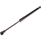 Gasfeder, Koffer-/Laderaum | 12-0232
